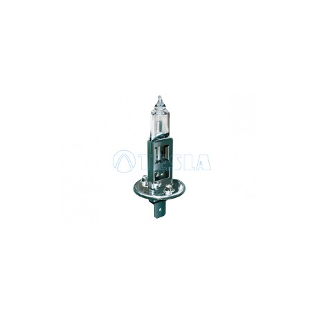 AMPOULE H1 12 VOLTS 55 W P14.5S