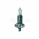 AMPOULE H1 12 VOLTS 55 W P14.5S